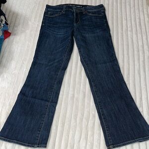 American Eagle Skinny Kick | Size 14 Short